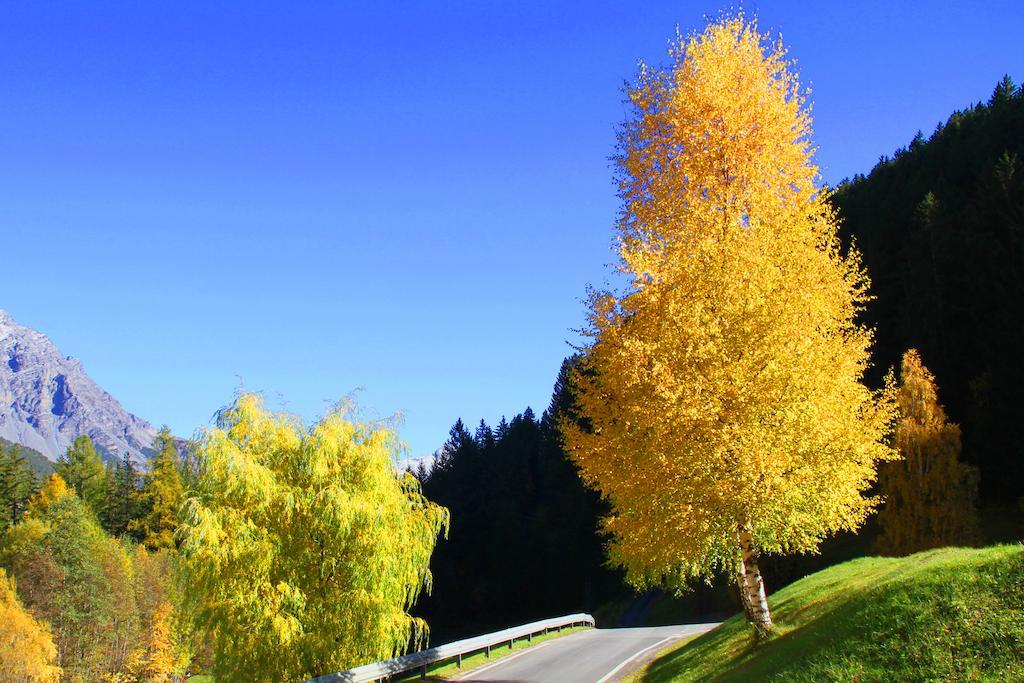 Residence Raethia Tra Bormio E Livigno Pradelle Экстерьер фото